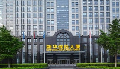 新华人寿项目