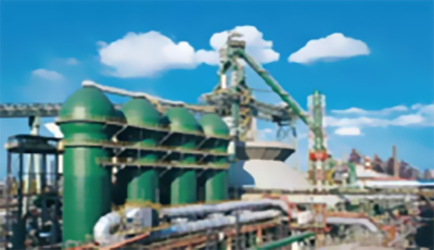 武汉钢铁有限公司项目